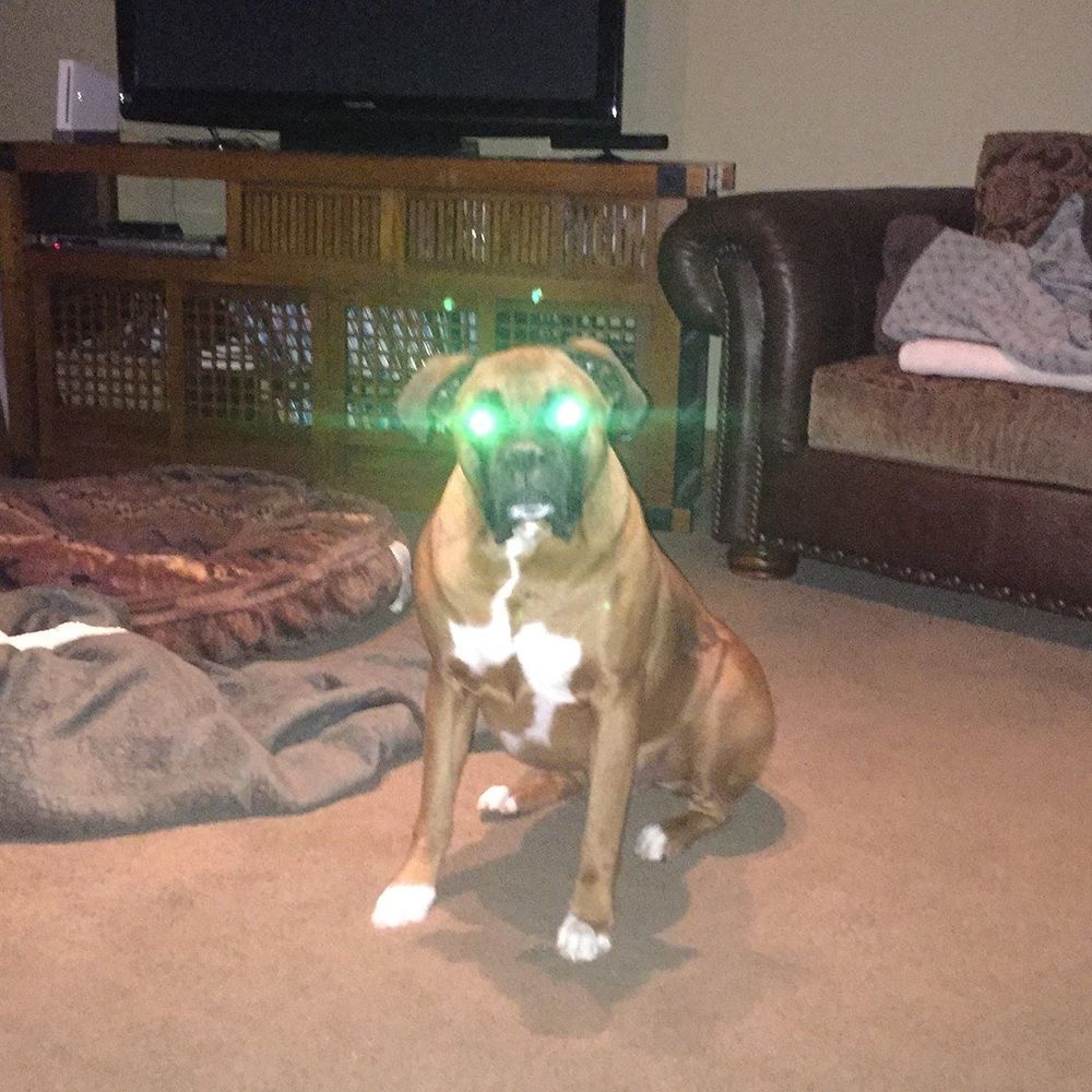 Meet your Posher, Mathew